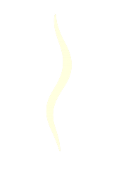 separateur footer