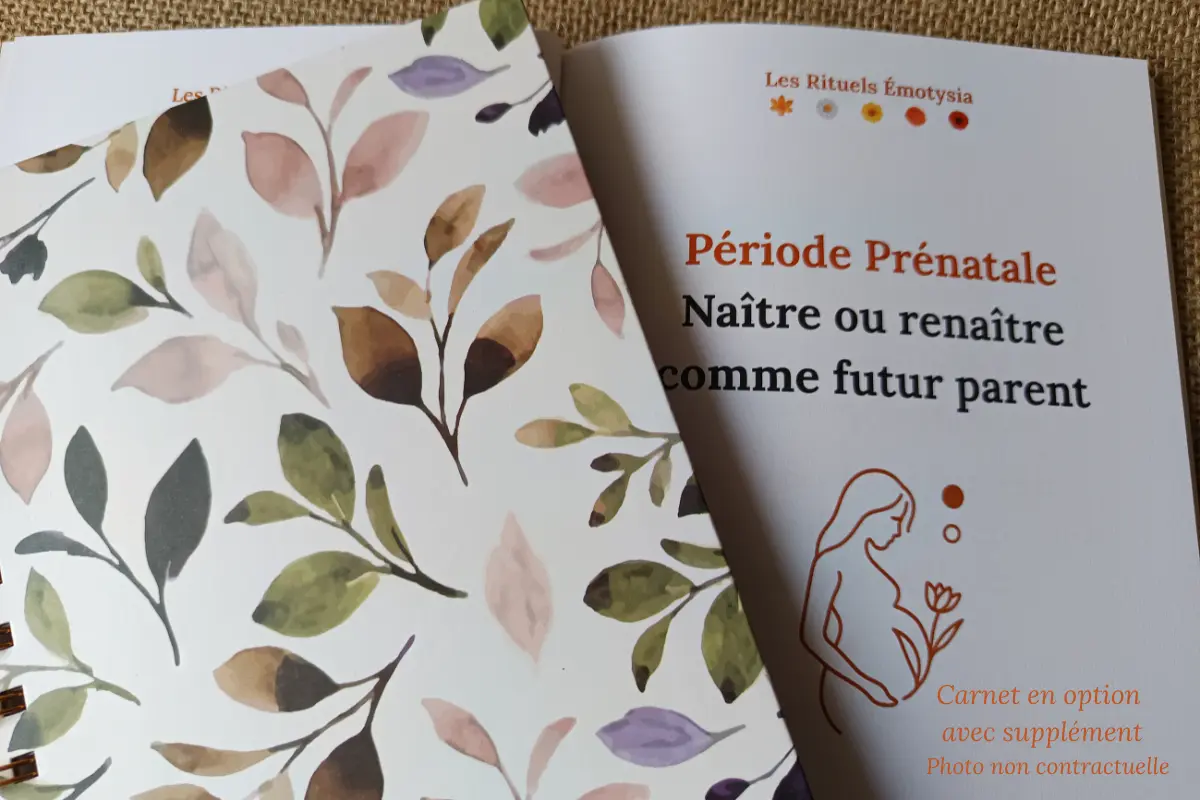 Coffret thématique Prénatal : Naître ou renaître comme futur parent – Je vis une naissance ou l'arrivée d'un enfant