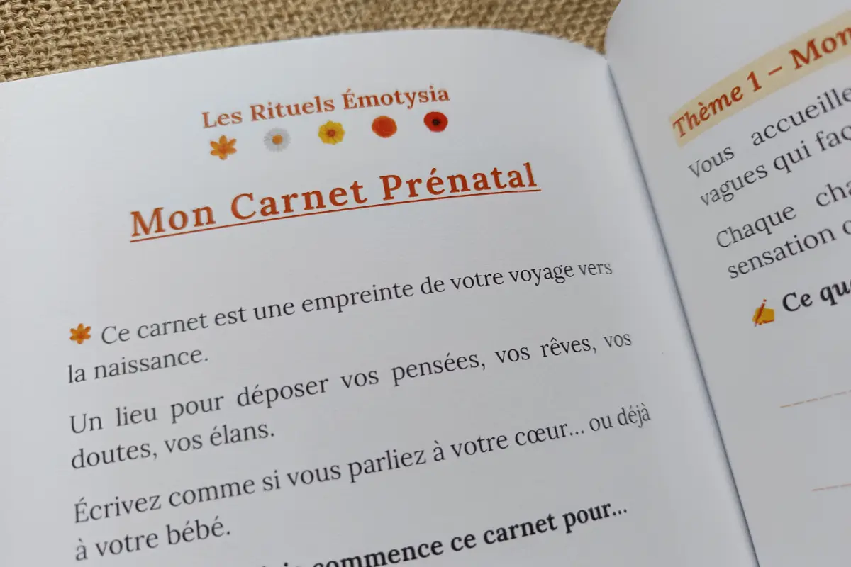 Livre de routines prénatales : Naître ou renaître comme futur parent – Je vis une naissance ou l'arrivée d'un enfant