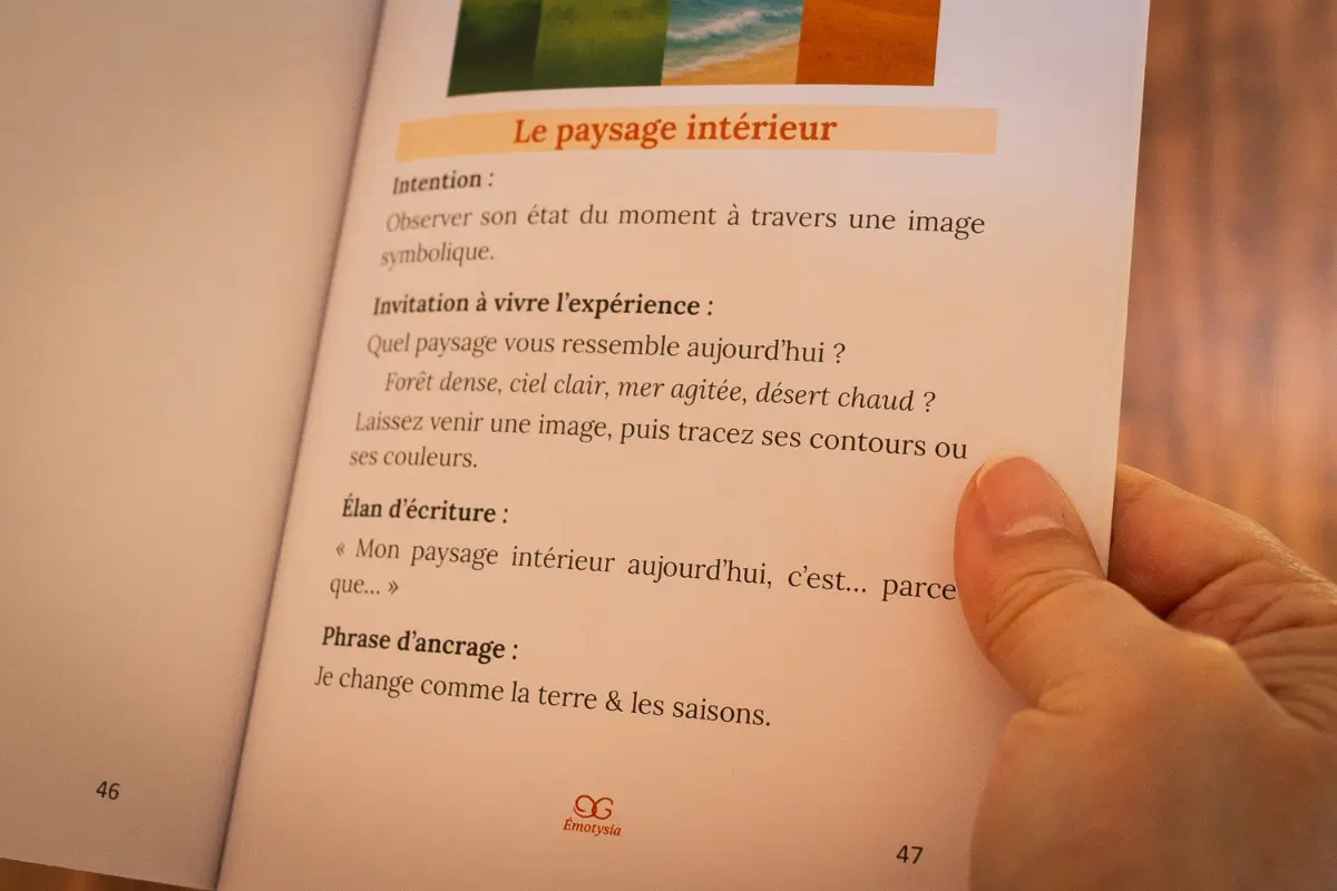 Livre Ménopause & Préménopause : Les saisons de mon corps – Je traverse une transition marquante