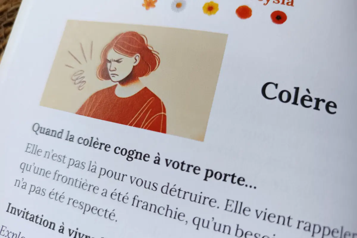 Livre Hypersensibilité & Émotions : Accueillir mes vagues émotionnelles – Je cherche un apaisement immédiat