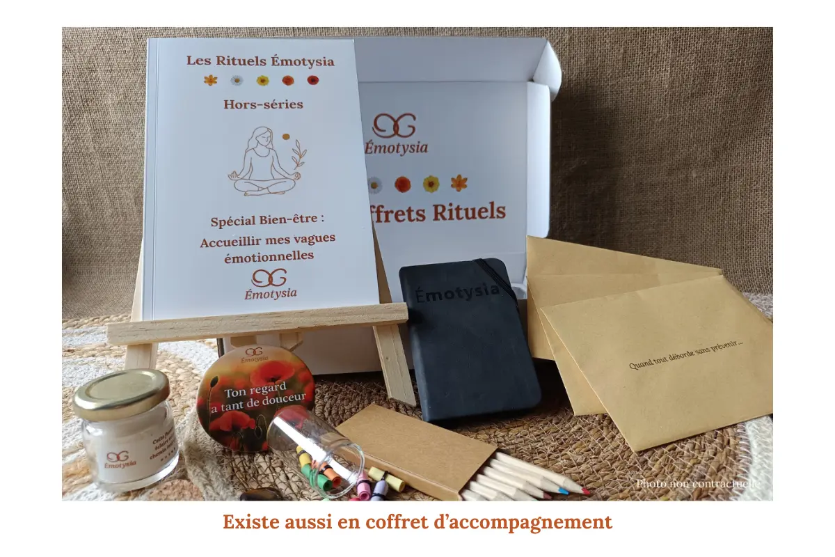 Livre Hypersensibilité & Émotions : Accueillir mes vagues émotionnelles – Je cherche un apaisement immédiat